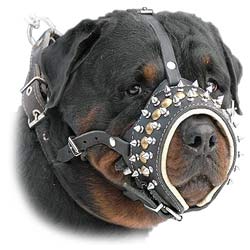 K9 Dogs Leather Decorated With Studs And Spikes Muzzle