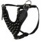 Leather Spiked Dog Harness- Deluxe custom Leather Harness-K9 Dogs