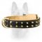 Leather Working Dog Collar With Fur Protection Plate For Canine