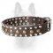 Designer K9 Leather Dog Collar With Pyramids And Studs