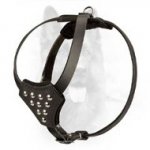 Canine Puppy Leather Harness with Nickel Studs