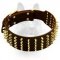 Leather Custom Dog Collar With Brass-Plated Fittings