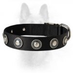 Nylon Dog Collar With Silver Conchos For Police Dogs