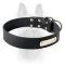 Exclusive Leather Dog Collar With Name Tag