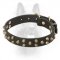 Studded Leather Collar for Police Dogs