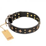 'A La Mode' FDT Artisan Hand Decorated Black Leather Dog Collar