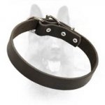 Extra Strong Riveted Leather Dog Collar For K9