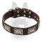 Decorated Leather Canine Collar with Nickel Plates