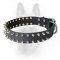 Canine Leather Spiked Dog Collar With Shining Spikes