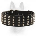 Studded Leather Dog Collar-2 Inch Wide Collar For Canine