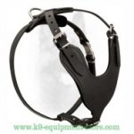 Durable Canine Leather Dog Harness for Overactive Dogs