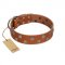 "Ancient Symbol" Trendy FDT Artisan Tan Leather dog Collar with Silver- and Gold-Like Studs