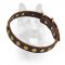Studded Leather Puppy Dog Collar For K9
