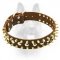 Leather Spiked & Studded Dog Collar For Canine Dogs