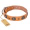"Twinkle Twinkle" FDT Artisan Incredible Studded Tan Leather dog Collar