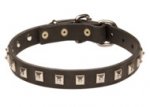 Traditional Strong Leather Dog Collar with Beautiful Decorations