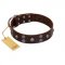 "Skull Valley" Handcrafted FDT Artisan Brown Leather dog Collar with Skulls