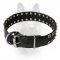 'Caterpillar' Studded Leather Dog Collar for Canine