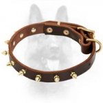 Canine Leather Dog Collar With 1 Row Of Brass Spikes
