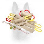 K9 Jute Training Set with Gift Toys and Bite Roll