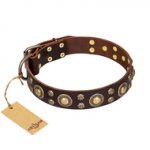 'Flower Melody' FDT Artisan Brown Leather Dog Collar with Mixed Studs for Daily Use