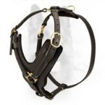 Exclusive Training and Walking Leather Canine Harness