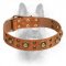 'Space-Like' Leather Dog Collar with Brass Decorations