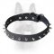 Spiked Leather Dog Collar for Canine Walking in Style