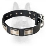 Canine Deluxe Leather Dog Collar With Plates