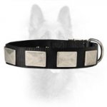 Nylon Dog Collar For K9 Dogs With Vintage Plates