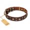 'High Fashion' FDT Artisan Perfect Brown Leather Dog Collar