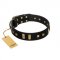 "Fit for Royalty" FDT Artisan Black Leather dog Collar with Plates and Small Square Studs