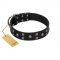 "Fire Eyes" Designer Handmade FDT Artisan Black Leather dog Collar