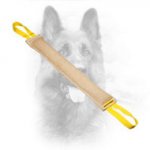 Police Dog Bite Tug to Improve Bite Skills