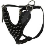 Leather Spiked Dog Harness- Deluxe custom Leather Harness-K9 Dogs