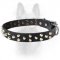 Canine Leather Dog Collar With Small Pyramids