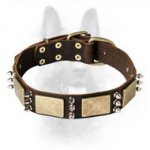 Gorgeous Leather War Dog With Massive Brass Plates & Spikes