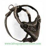 Hand Painted Barbed Wire K9 Leather Dog Harness