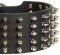 Full Spiked Latigo Leather Dog Collar For Canine Dogs