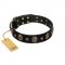 Pirate's Spell' FDT Artisan Black Leather dog Collar with Engraved Studs and Medallions