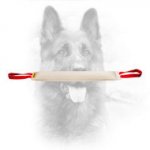 Dog Bite Tug Covered with Fire Hose