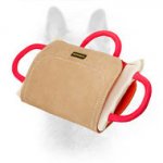 Comfortable Dog Bite Pillow with Three Handles