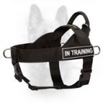 Search & Rescue Canine Nylon Dog Harness With Patches