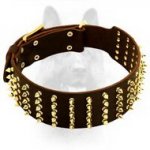 Leather Custom Dog Collar With Brass-Plated Fittings