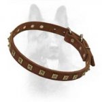 Brass Studded K9 Leather Dog Collar