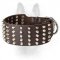 Super Wide Leather Canine Collar with Cones