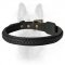 Stunning Leather K9 Dog Collar With Braid