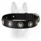 Nylon Dog Collar With Silver Conchos For Police Dogs