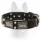 Leather K9 Collar with Nickel-Plated Decorative Elements