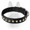 1 Row Studs Dog Collar-1 1/4" For Canine Dogs